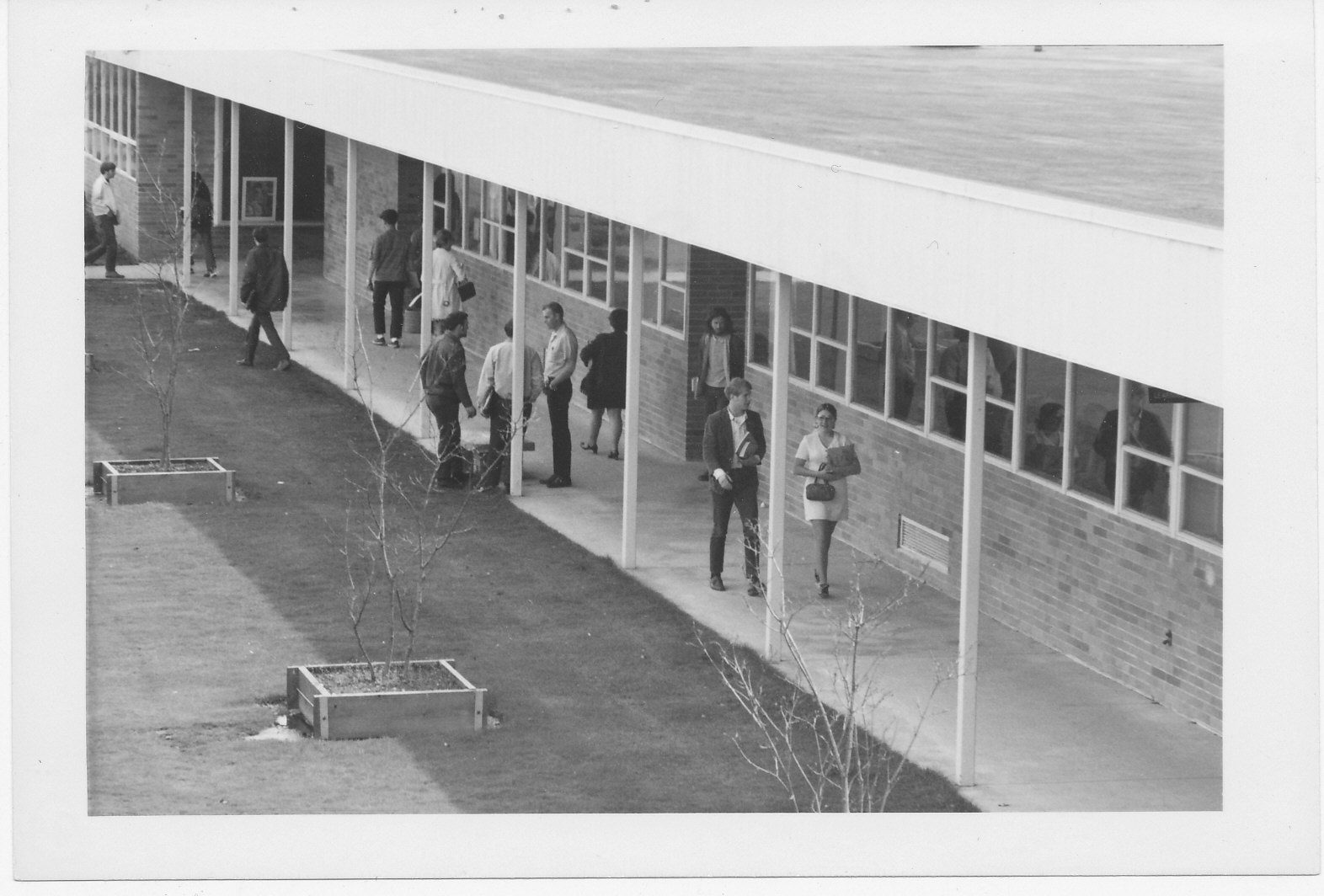 New Campus students walking to class