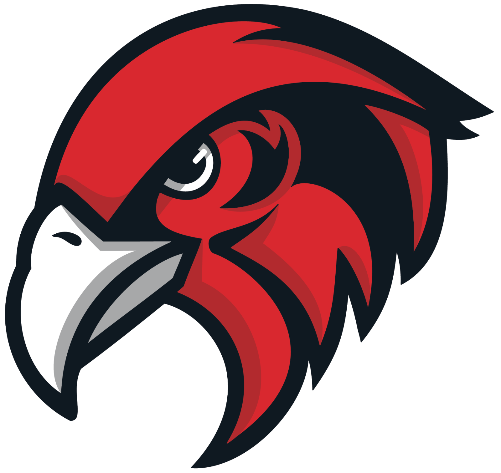 Bellingham High School