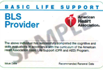 Example of AHA Basic Life Support Provider card