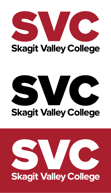 secondary logo examples